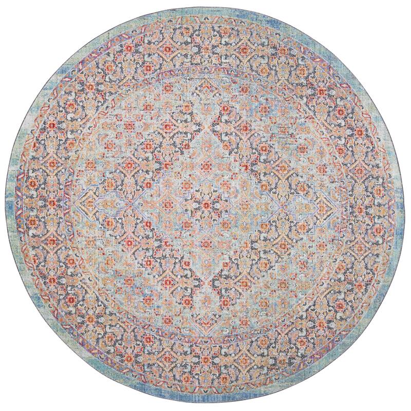 SAFAVIEH Provance Arabella Vintage Boho Oriental Rug