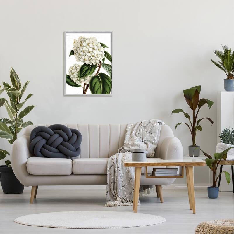 Stupell Begonia Opuliflora Flower Stem Vintage Botanical Study Framed Wall Art, Design by Lettered and Lined - Green