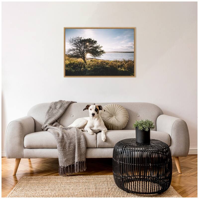 Kate and Laurel Sylvie Coastal Serene Sunset Tree Landscape Framed Canvas by Patricia Hasz of Patricia Rae Photography