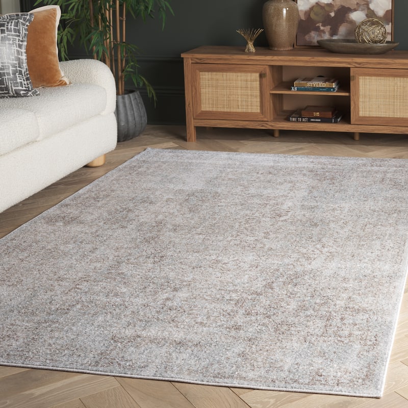 SAFAVIEH Evoke Quinn Vintage Distressed Rug