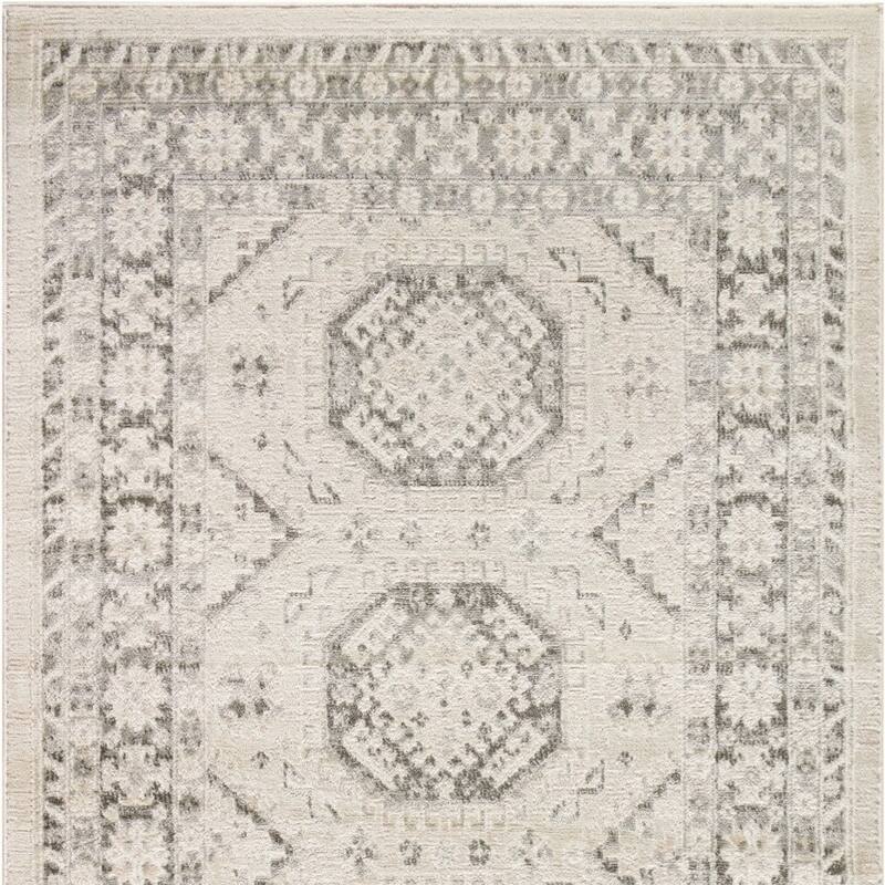 Fijoc Distressed Geometric Area Rug By HomeRoots - 4' x 6'