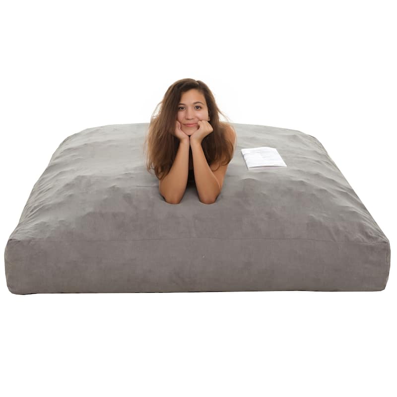 Sealy® Teddy 2-in-1 Foam Bean Bag Chair / Pillow