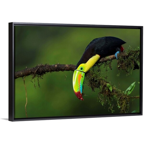 "The colors of Costa Rica" Black Float Frame Canvas Art