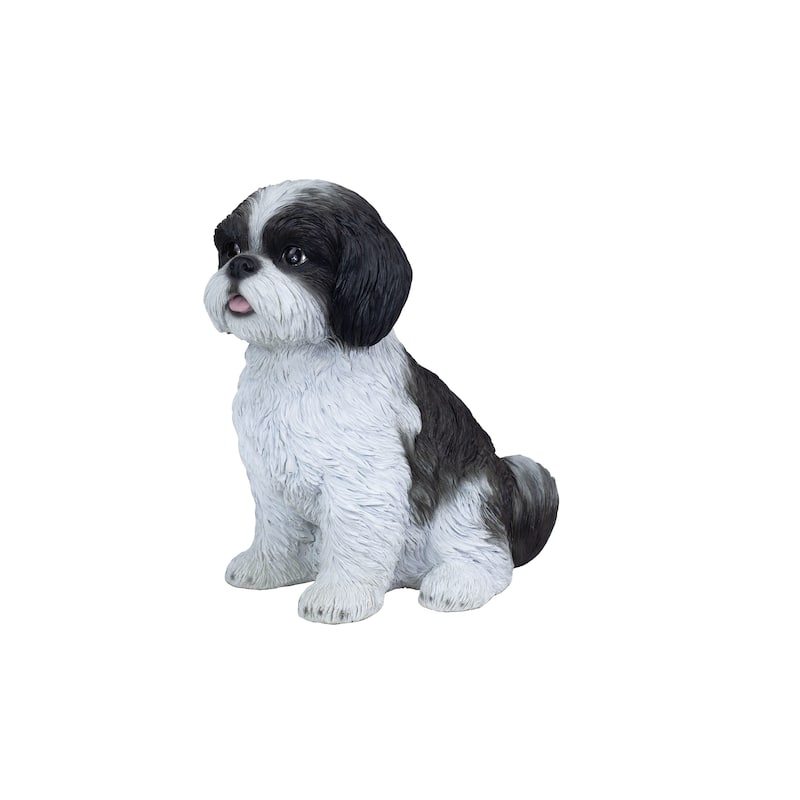 Sitting Baby Shih Tzu Outdoor Garden Statue - 12.5" - White and Black