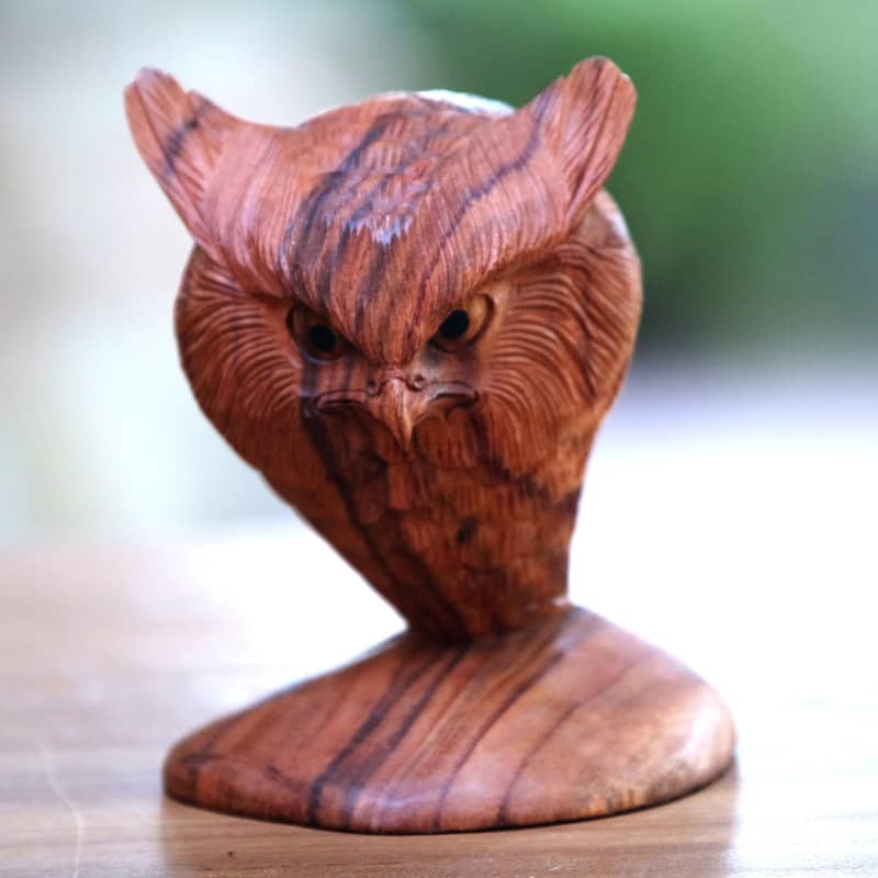 Novica Handmade Owl Bust Wood Sculpture