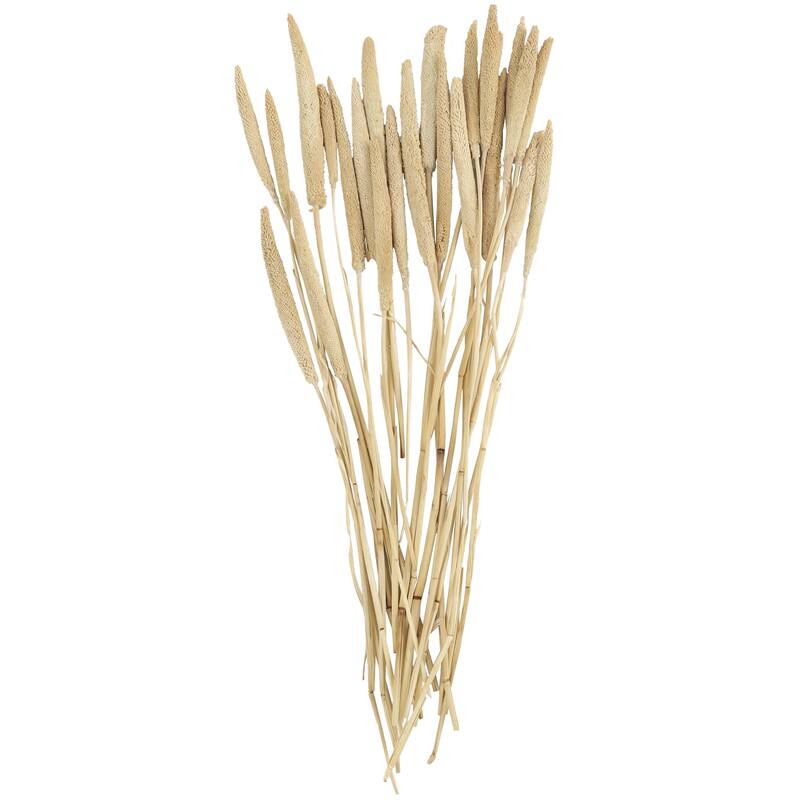 Dried Plant Bunny Tail Home Decor Natural Foliage - White, Red, Dark Brown, Orange, Green, Pink, Yellow - Roche River Decor