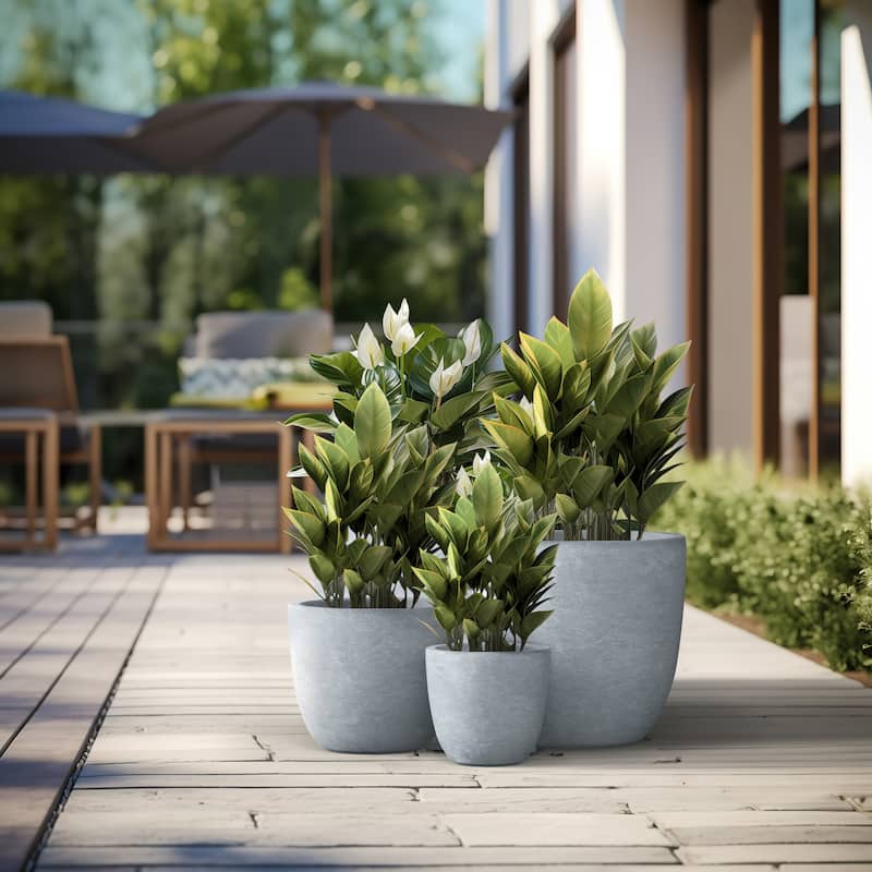 Tall Concrete Round Plant Pots / Large Indoor and Outdoor flower Planters