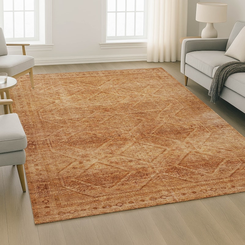 Premium Washable Super Soft Boho Moroccan Mayfield Rug