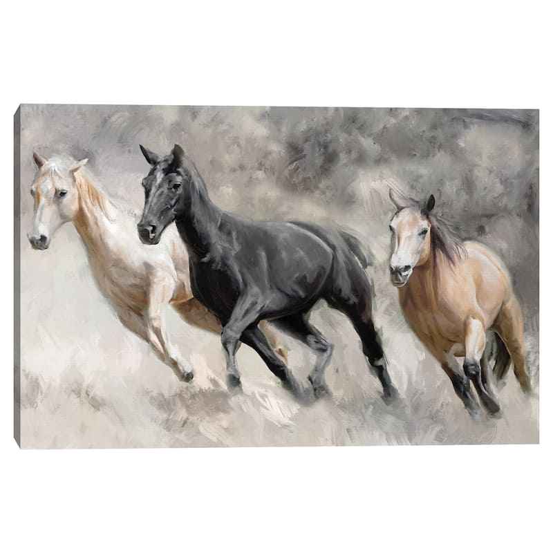 Sunday Run Crop by Studio Arts Canvas Art Print