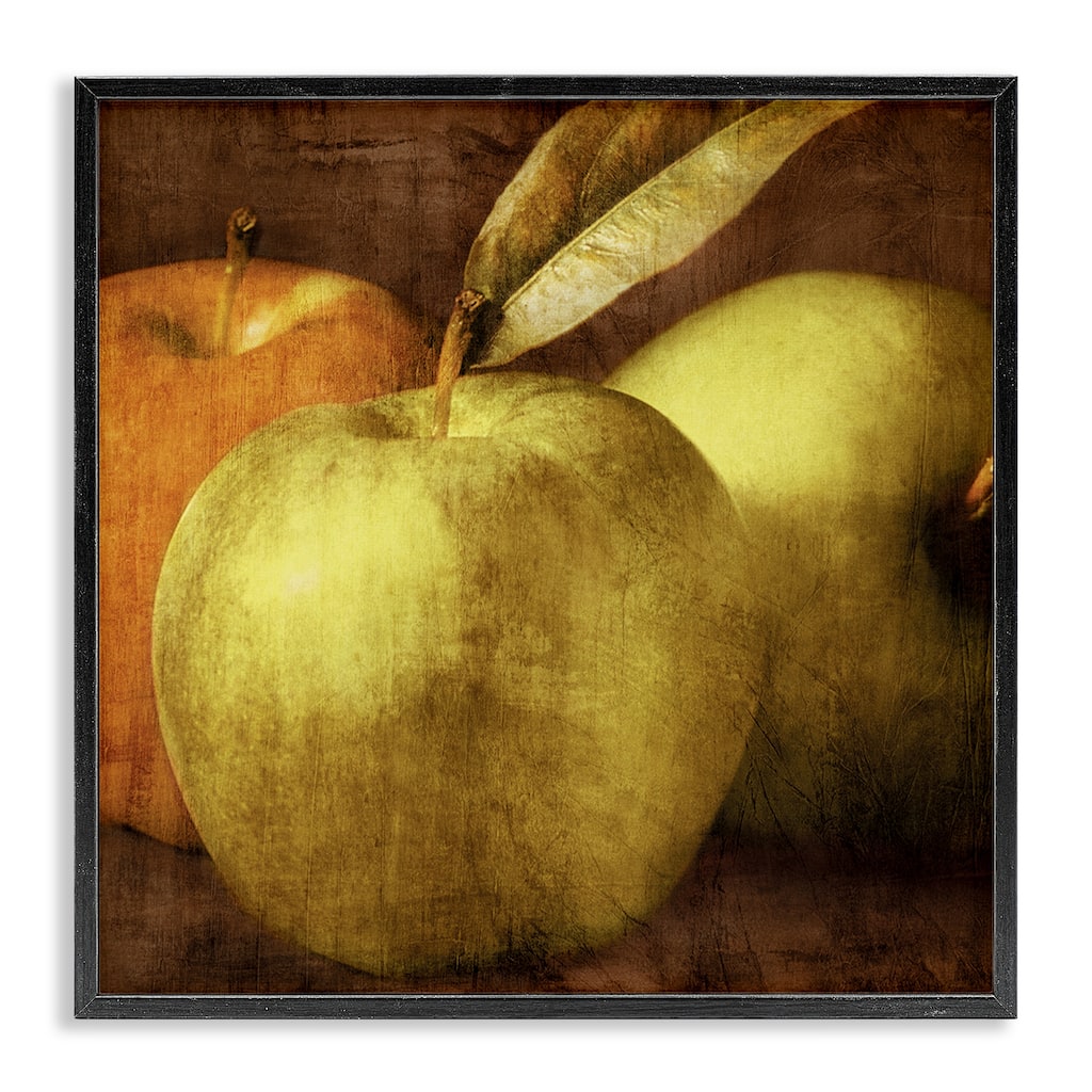Stupell Vintage Apples Close Up Framed Giclee Art Design By Caroline Kelly