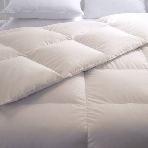 Unbleached Organic Cotton Comforter 233 Thread Count by Cozy Classics