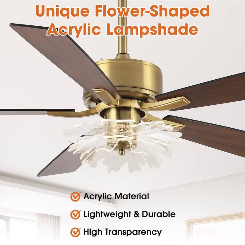 52" Modern Gold Acylic Flower Diammable Ceiling Fan with Light and Remote