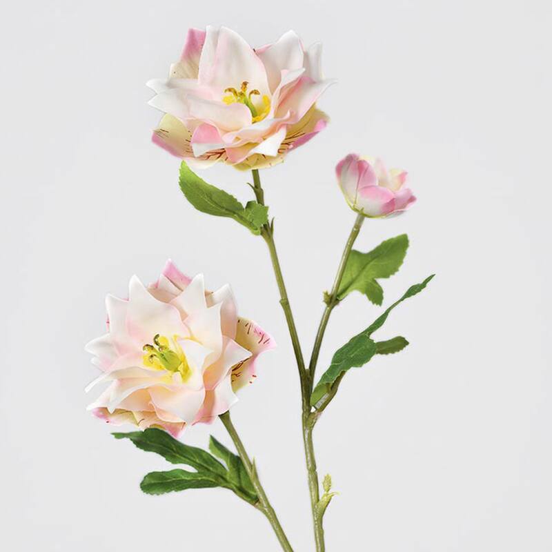 Silk Decorative Artificial Persian Buttercup(Pack of 1 Branch)