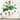 Designart 'Vintage Botanicals III' Farmhouse wall clock