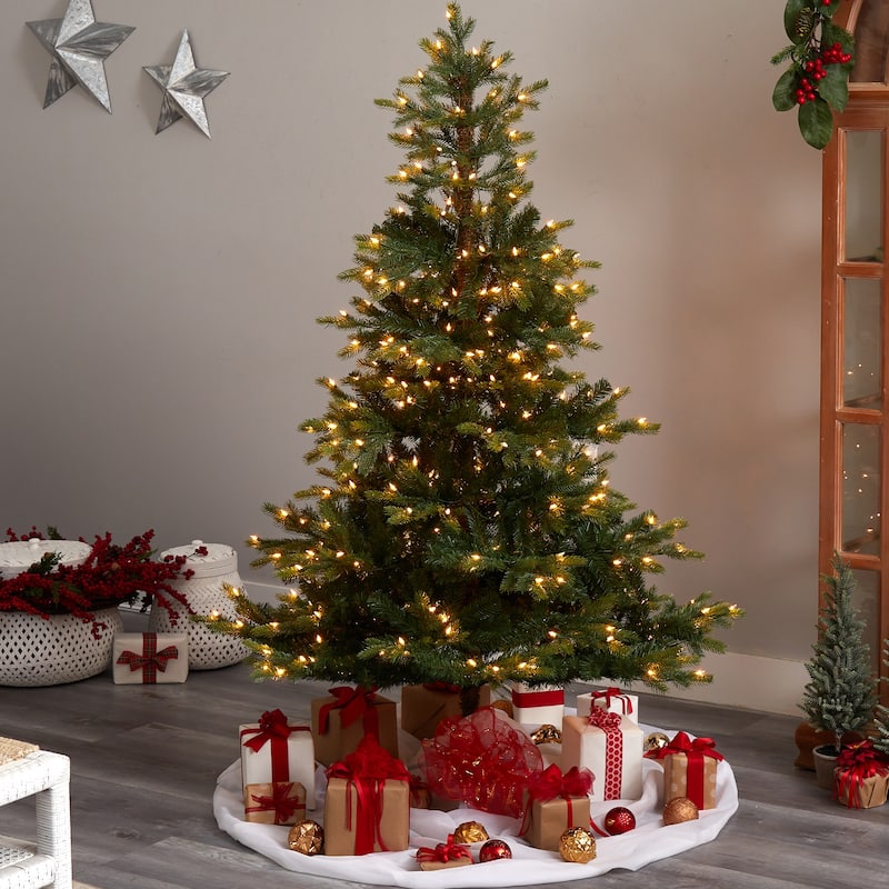 6' North Carolina Spruce Christmas Tree with 350 Lights - 72
