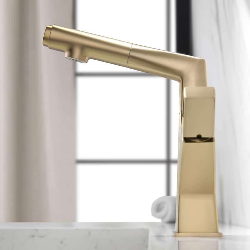 Pull Out Swivel Single Hole Bathroom Faucet