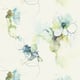 Option Glacier Blue and Pear