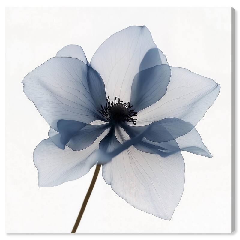 Morning Petalia II Canvas by Art Remedy, Gallery Wrapped - 16" x 16"