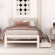 Option White Washed