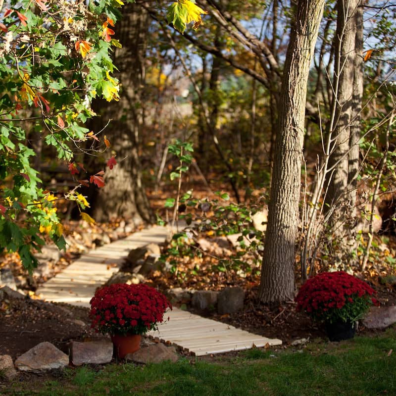 Pressure Treated Pine Roll-Up Walkway