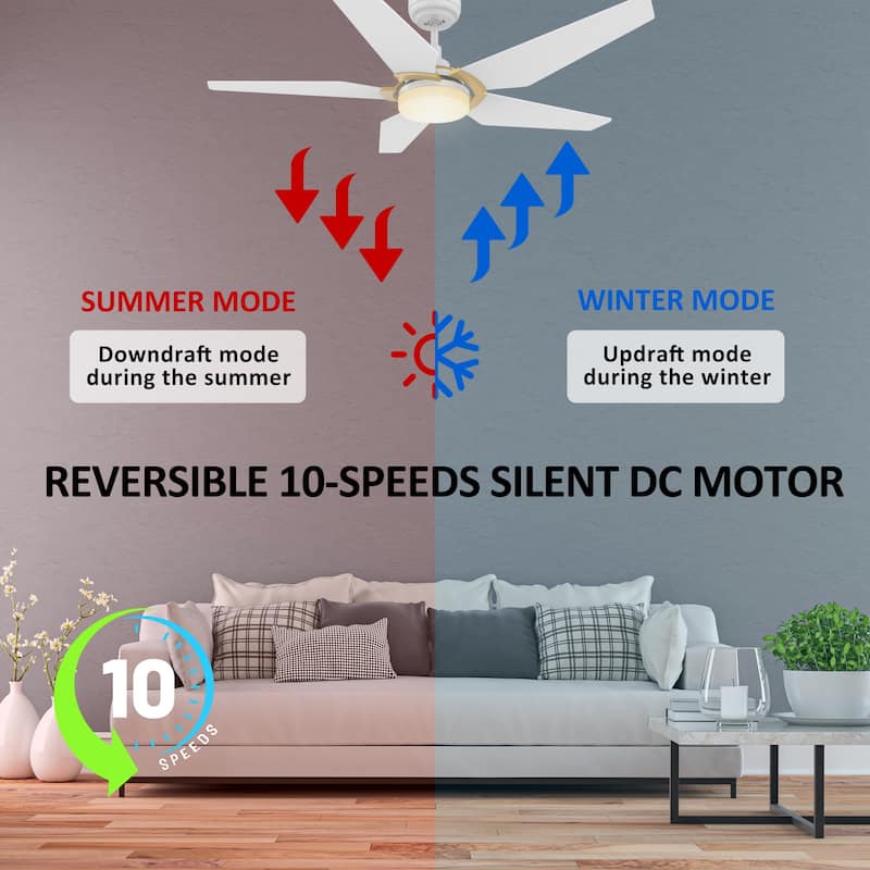 CARRO Boreas 52" Smart Ceiling Fan with Light and Remote-Downrod