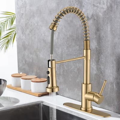 PROOX Single Handle Kitchen Sink Faucet with Pull Out Sprayer