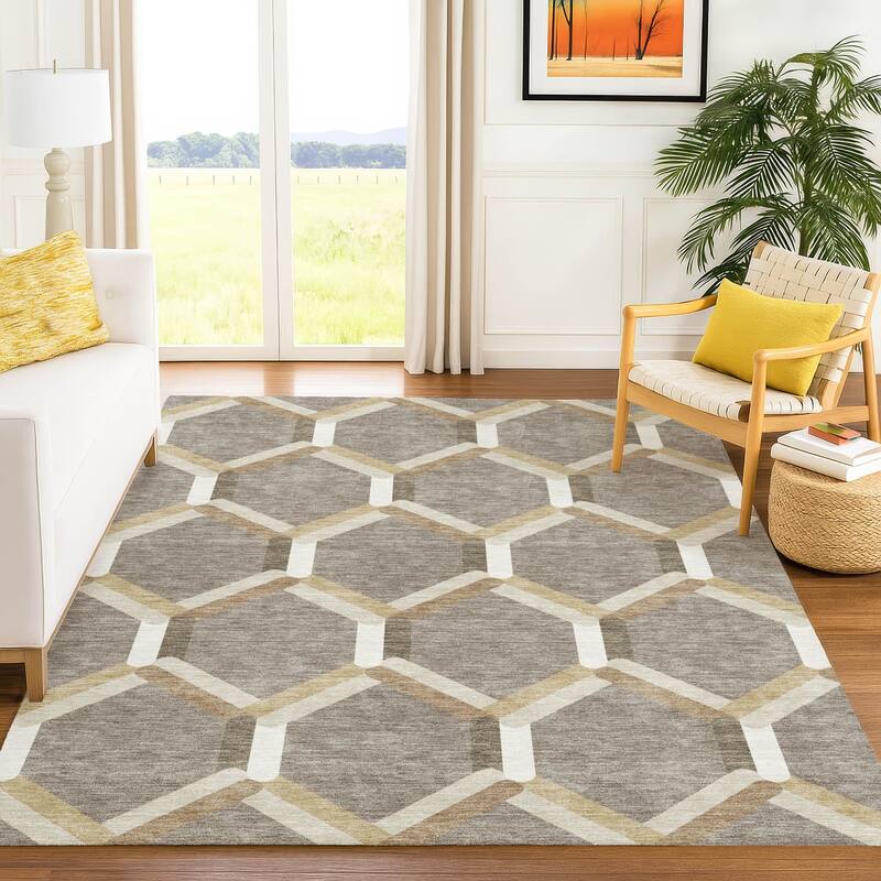 Machine Washable Indoor/ Outdoor Modern Trellis Chantille Rug