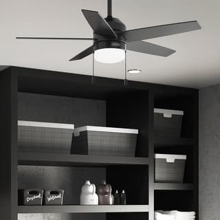 Hunter Bardot Ceiling Fan with LED Light Kit and Pull Chain, Modern, Contemporary, Transitional