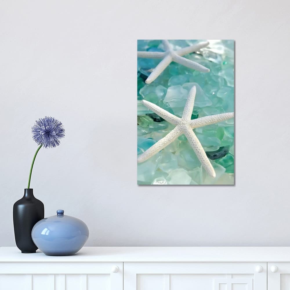 iCanvas "Seaglass 1" by Alan Blaustein Canvas Print