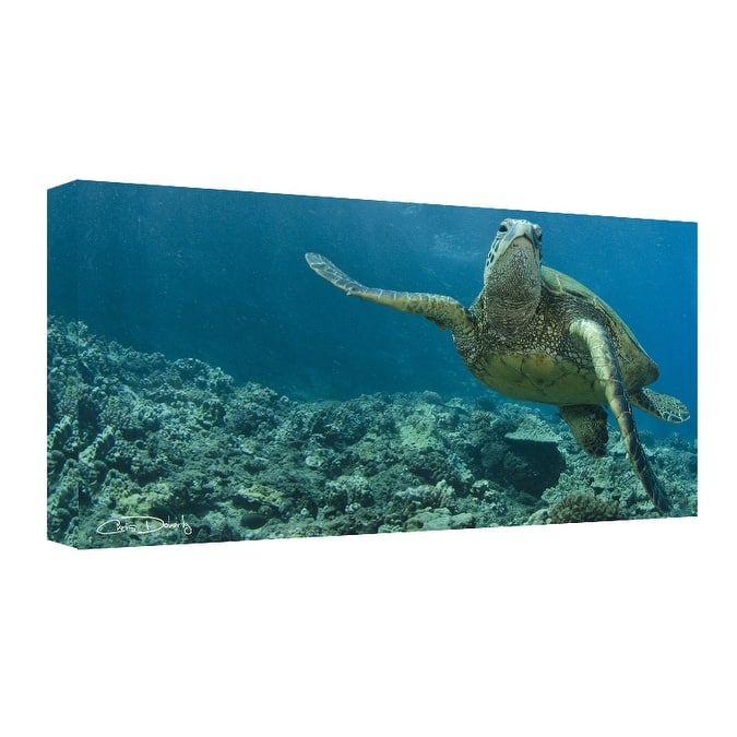 Ready2HangArt 'Maui Turtle Stony' Wrapped Canvas Wall Art