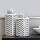 preview thumbnail 6 of 26, Ceramic Modern Abstract Decorative Jars (Set of 2) S/2 14", 12"H - Silver-White