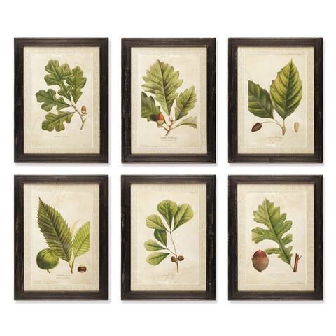 Arborist Framed Prints, Set Of 6