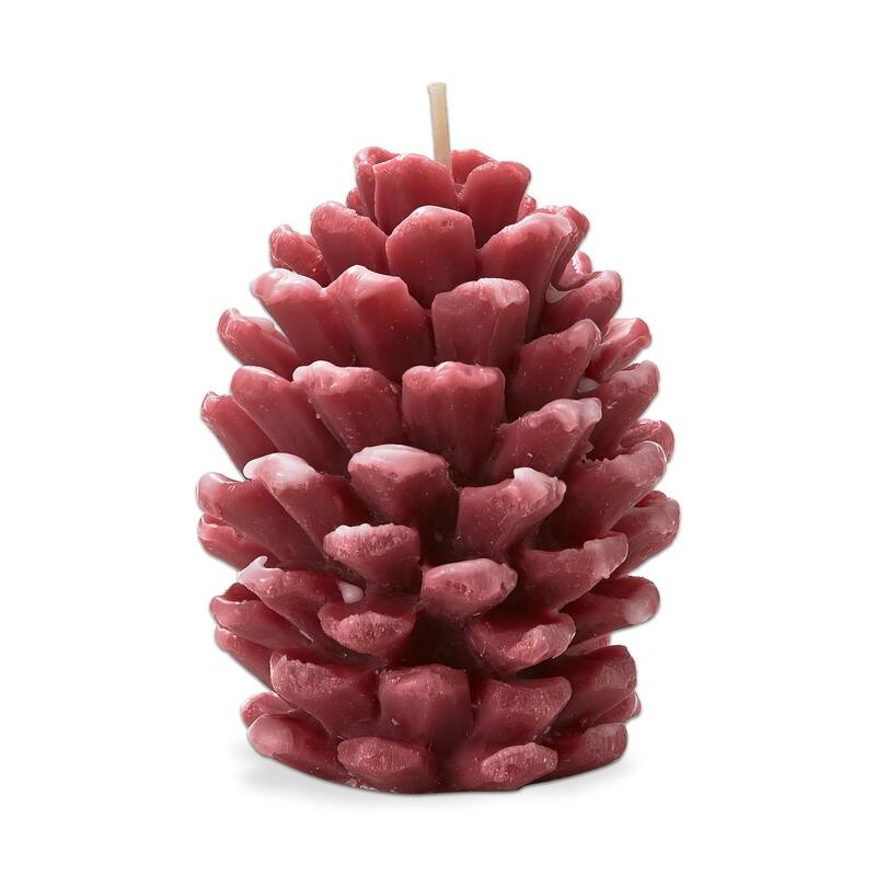 Frosted Pine Cone Terracotta Candle - Sculpted Design, 75hr Burn Time, 3.9"h x 2.4"d, Perfect for Everyday Decor
