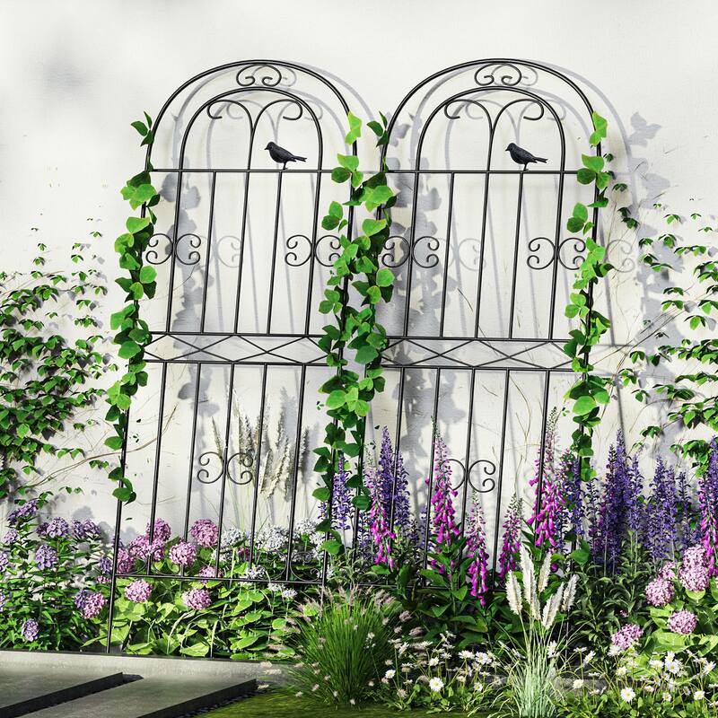 70.8" H x 19.7" W Metal Garden Trellis with Black Coating - 70.8" X 19.6"