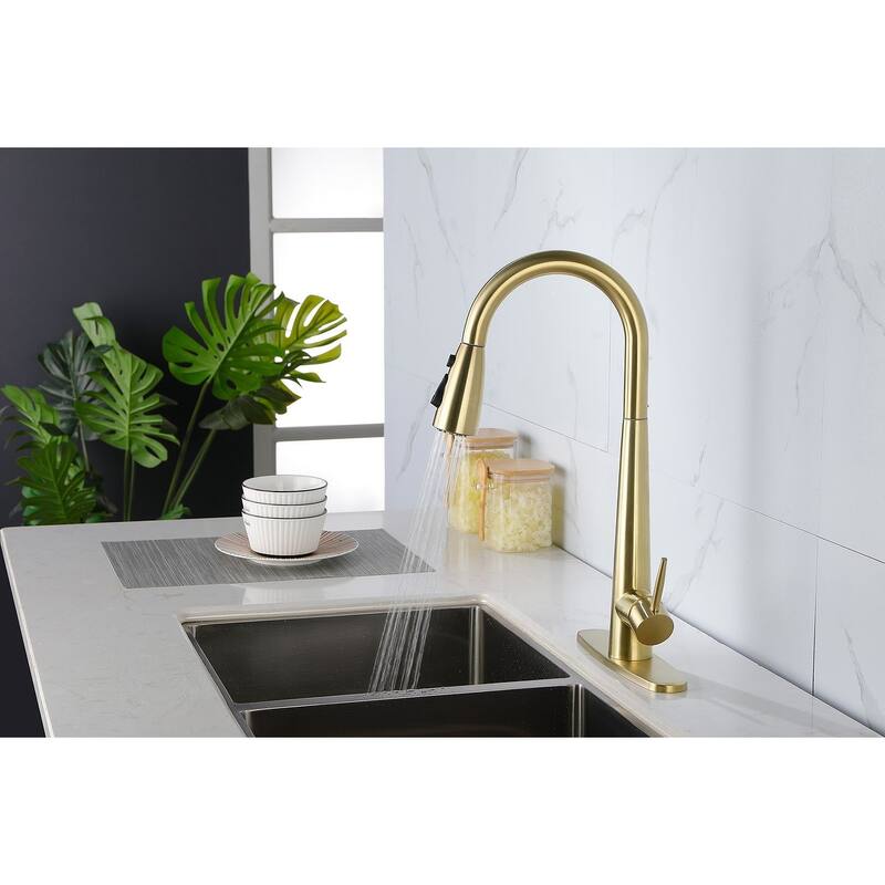 Modern Stainless Steel Kitchen Faucetswith Pull Down Sprayer