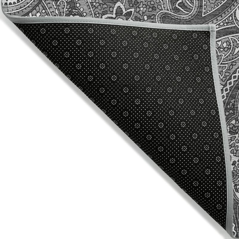 Machine Washable Indoor/ Outdoor Chantille Traditional Paisley Rug