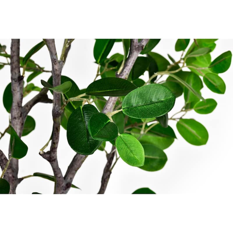 6 ft. Artificial East Ficus Tree in White Decor Pot - 31.5 in. W x 31.5 in. D x 72 in. H