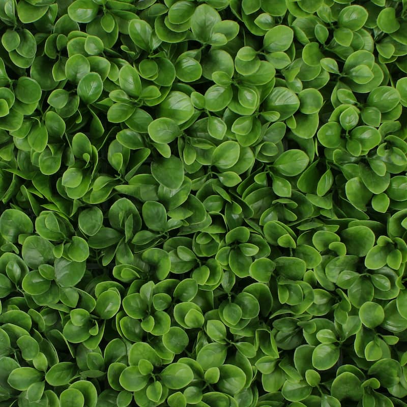 Greenery Panel - 12 Pack - Jasper