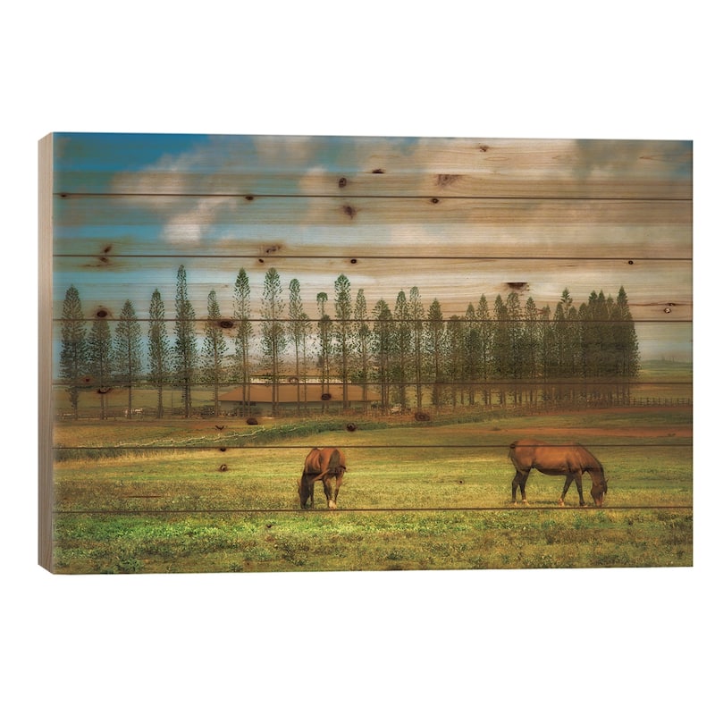 Horse Pasture Print On Wood by Dennis Frates - Multi-Color - 18x26x1.5