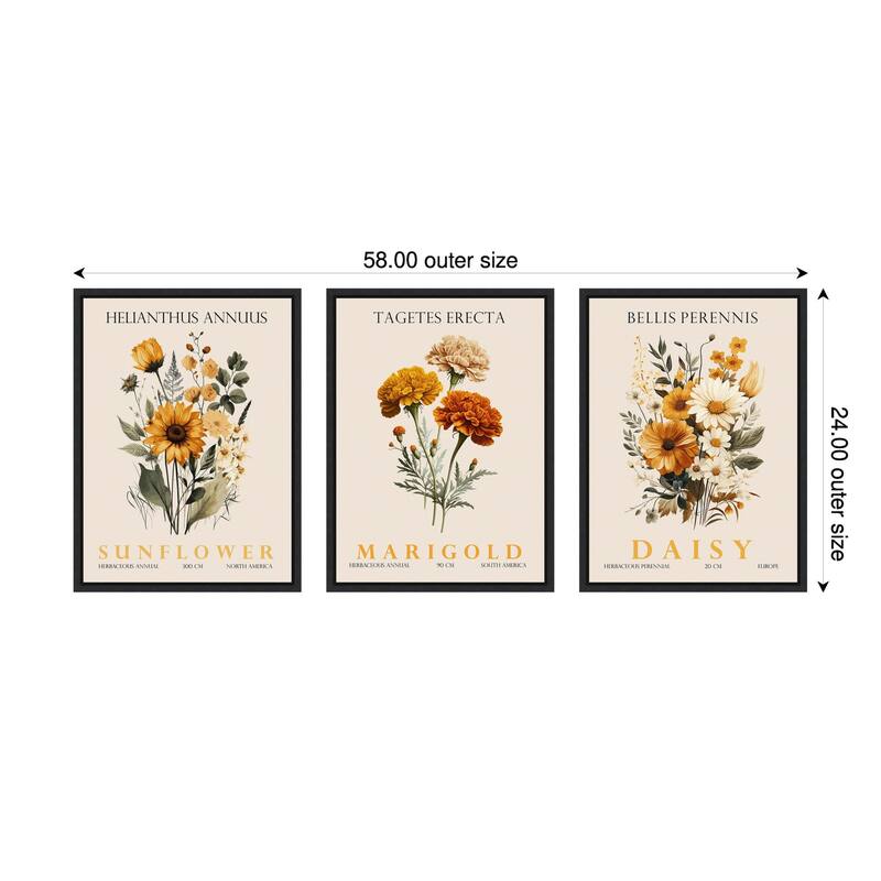 Amanti Art Vintage Sunflower Marigold and Daisy 3 Piece by Christopher Giampietro Framed Canvas Wall Art - Black