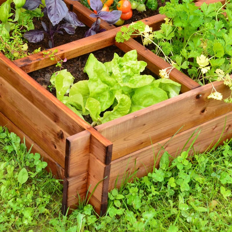 Wooden Garden On-Ground Raised Beds