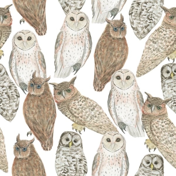 Owls Wallpaper Peel and Stick and Prepasted Bed Bath & Beyond 36791886