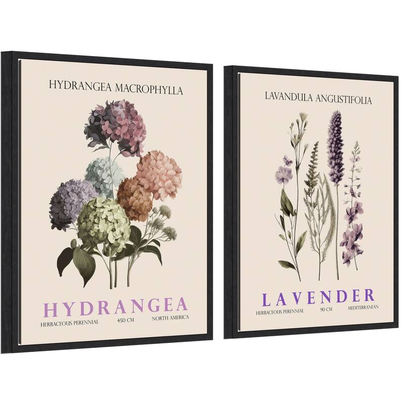 Amanti Art Vintage Hydrangea & Lavender 2 Piece by Christopher Giampietro Framed Canvas Wall Art