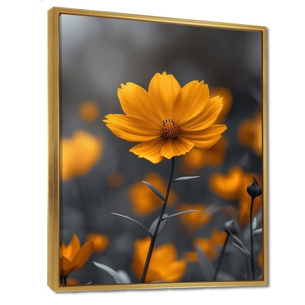 Marigold: Summer in Sunshine Marigold: Summer in Sunshine