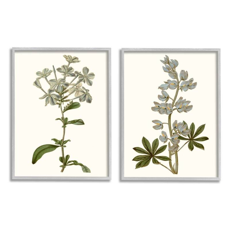 Stupell Vintage Illustrated Study of Blue Botanical Florals, 2pc Multi Piece Framed Wall Art Set - 16 x 20 - Silver