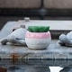 preview thumbnail 6 of 7, Succulent in Two tone lines pattern ceramic pot ,Teal - ONE-SIZE