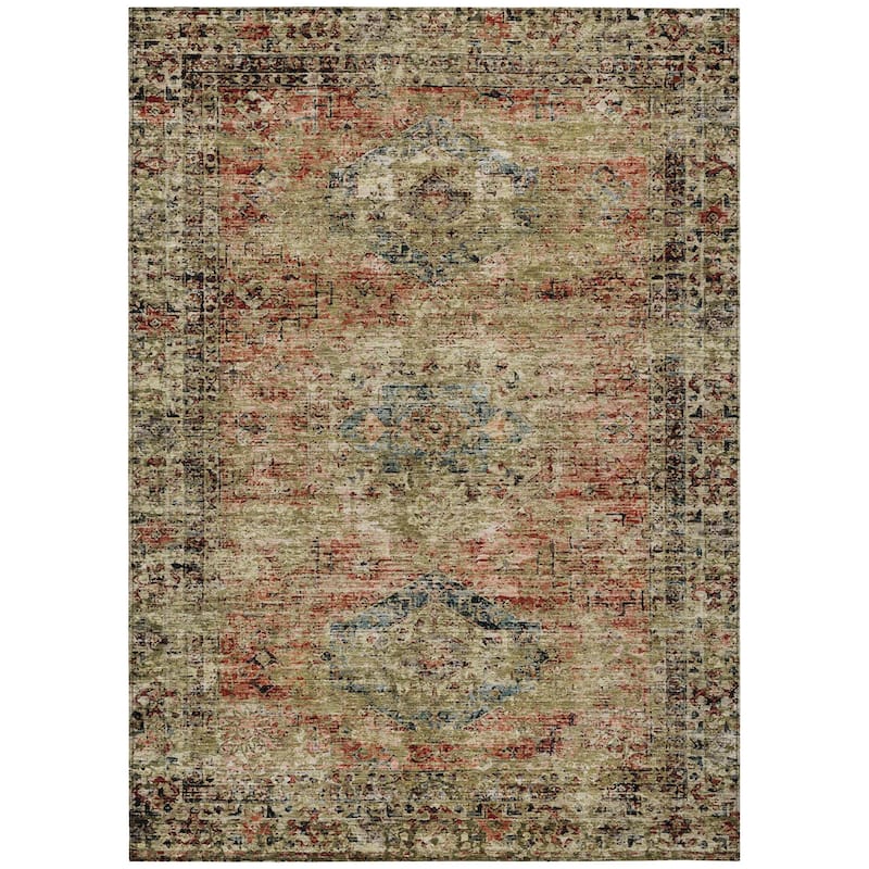 Machine Washable Indoor/Outdoor Vintage Traditional Chantille Rug