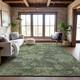 Option Fern