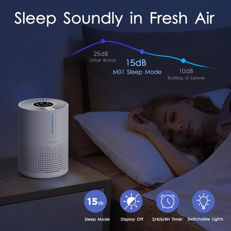 Portable H13 HEPA Air Purifier for Pets and Smoke