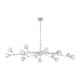 Option Clear / Polished Nickel